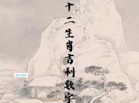 解开谜底：大地万物究竟是哪个生肖？