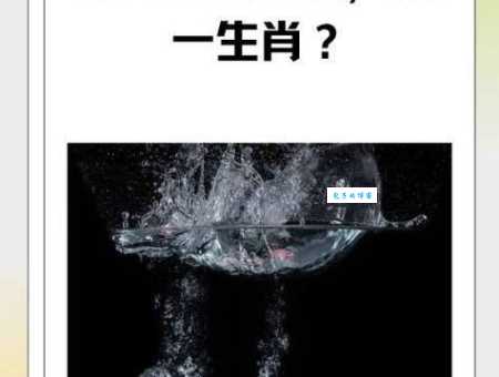 猜一生肖：泼水难收是哪种动物？答案令人意外