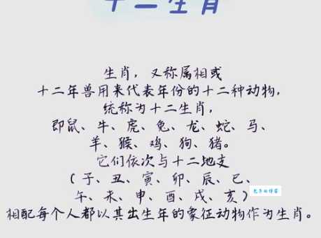 花香鸟语是哪个生肖？带你揭秘生肖背后的寓意
