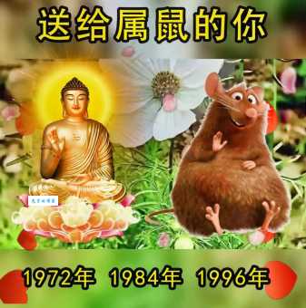 大彻大悟是什么生肖？揭秘最具智慧的动物