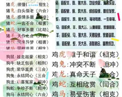 百思不得其解？窗户是特马代表的生肖是？