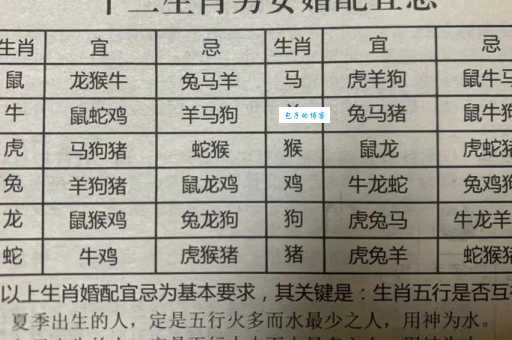 独揽大权是什么生肖？十二生肖权力解读