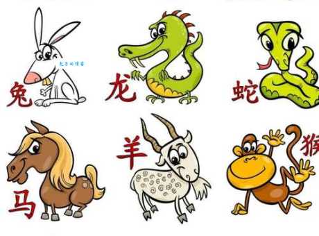 急寻藏头露尾生肖！十二生肖中哪个最符合特征？
