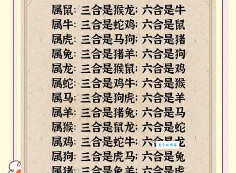 出双入对打一生肖是什么动物？答案揭晓！