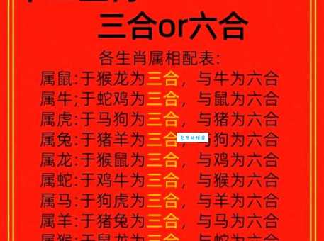 包罗万象打一生肖是什么动物？答案揭晓！