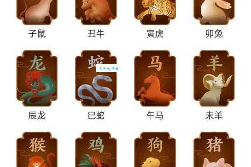 包罗万象打一生肖是什么动物？答案揭晓！