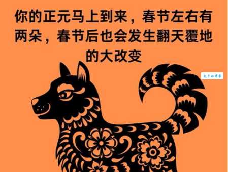 狗拿耗子王天下，这个生肖谜语的答案是什么？