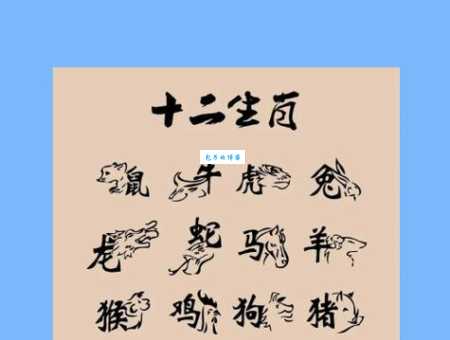回首往事打一个生肖是什么动物？答案揭晓！