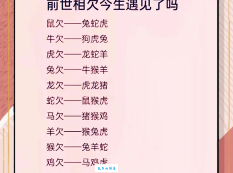 回首往事打一个生肖是什么动物？答案揭晓！