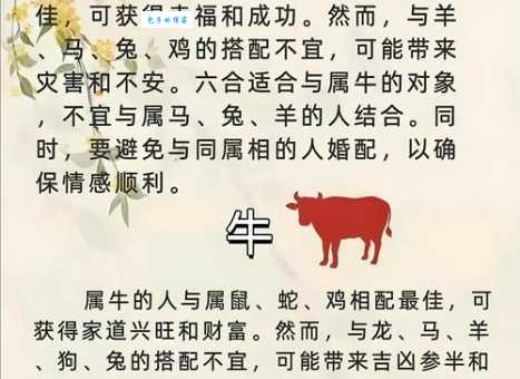 沧海桑田代表的生肖是哪个？趣味解读沧海桑田与生肖的关系
