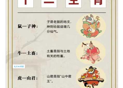 地上走来水中游是什么生肖？谜底揭晓，答案就在这里！