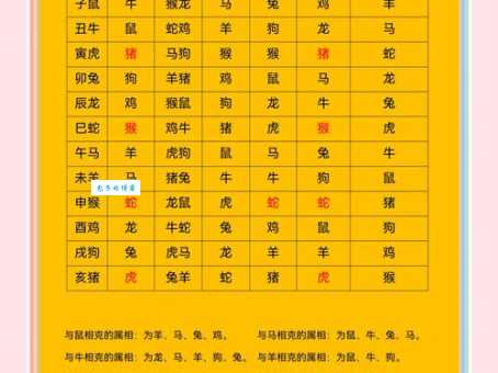 “果如其言”对应哪个生肖？这几个生肖最靠谱