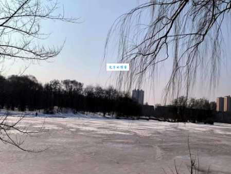 简单易懂！人近黄昏打一数字，快来试试！
