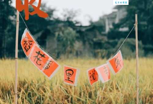丰收的季节，隐藏着一个数字，你知道是什么吗？