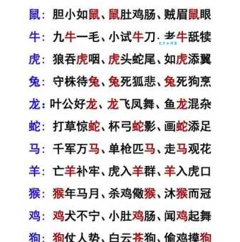 冰天雪地打一生肖是什么动物？答案揭晓！