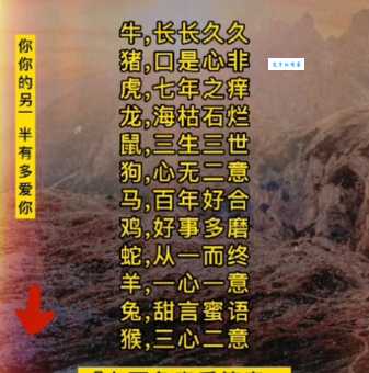 海枯石烂指哪个生肖？解读十二生肖背后的寓意