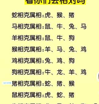 揭秘：阋墙谇帚与十二生肖的关联，哪个生肖最容易吵架