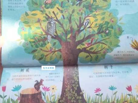 家种大树与生肖的奇妙联系，你了解多少？