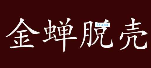 “金蝉脱壳”指的是什么生肖？详解生肖与成语的关联