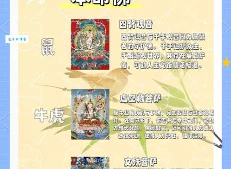 佛法无边与十二生肖的关系是什么？让你大开眼界