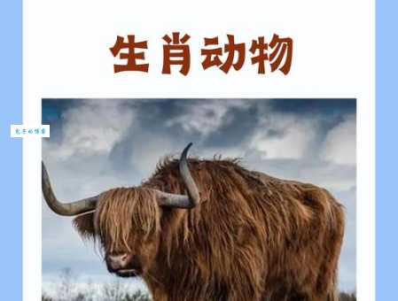 解密凡夫俗子：它究竟是哪种生肖动物？