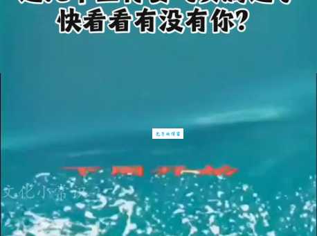 揭秘飞黄腾达的生肖秘密，是马还是龙？还是其他？