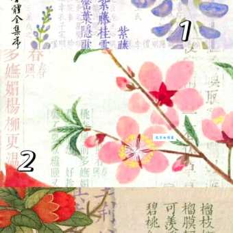 刚正不阿打一正确生肖是什么？答案揭晓！