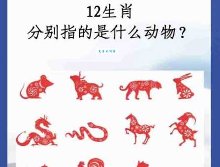 “双剑合璧”生肖组合是龙和蛇吗？权威解答