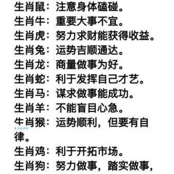 半斤八两是什么生肖？答案揭晓，看完你就懂了！