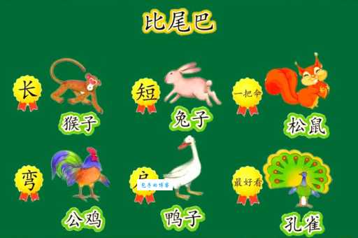 动物尾巴大比拼：像扇子？像绳子？还是像鞭子？
