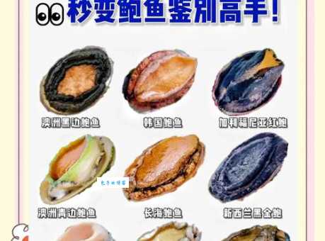 鲍鱼是鱼类吗？这道题你答对了吗？答案和详细解释都在这里