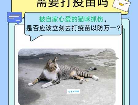 猫抓伤出血了需不需要打针？如何预防狂犬病？