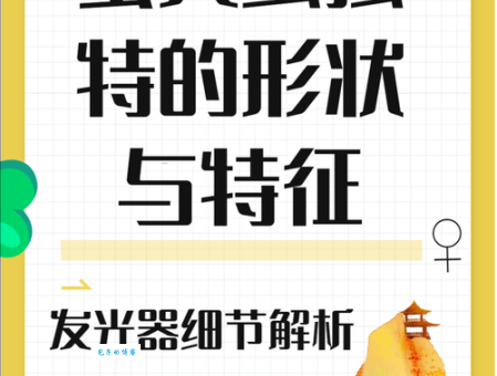 小小萤火虫发的是什么光？生物发光冷知识科普