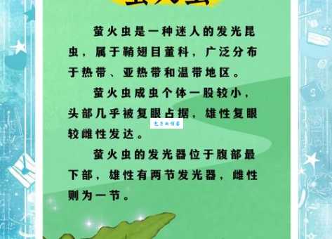 小小萤火虫发的是什么光？生物发光冷知识科普