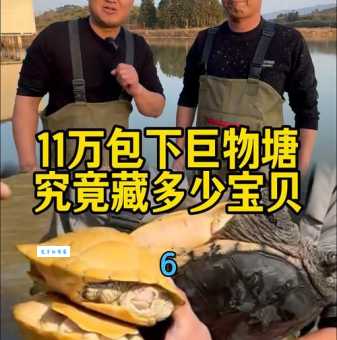 宝贝鱼价格及市场行情分析：投资养殖前景如何？