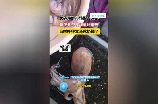 蓝环章鱼宠物交易盛行，专家紧急发出警告！