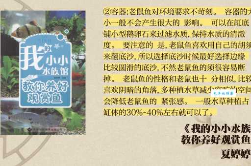 想养鼠鱼？这篇超详细的入门指南不容错过！