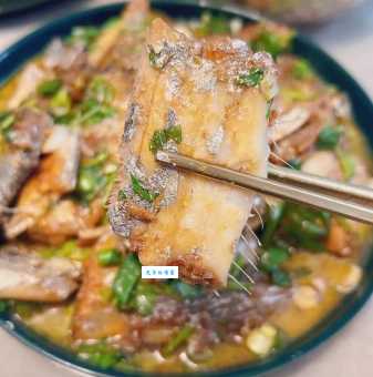 你见过刀片鱼吗？揭秘这种独特的海洋生物