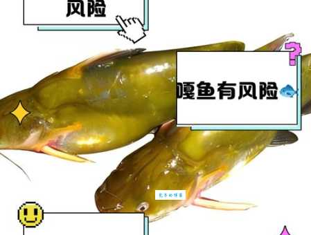 农村常见的嘎鱼，如今身价倍增，养殖前景如何？