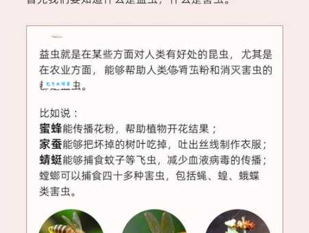 瓢虫究竟是什么昆虫？带你了解瓢虫的秘密