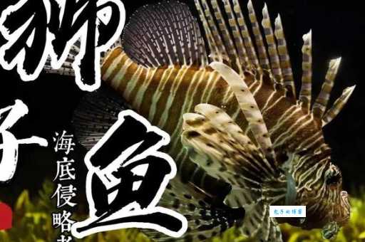 狮子鱼入侵：它对海洋生态系统造成的影响有多大？
