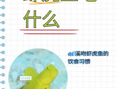 深入了解虾虎鱼：从种类到习性全方位解读