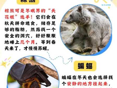 冬天动物如何过冬？详解哪些动物会冬眠