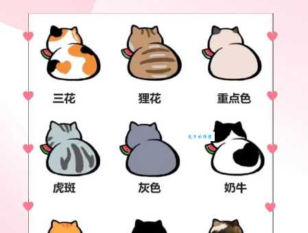 喜色猫：不同毛色猫咪性格大不同，你的猫咪是什么性格？