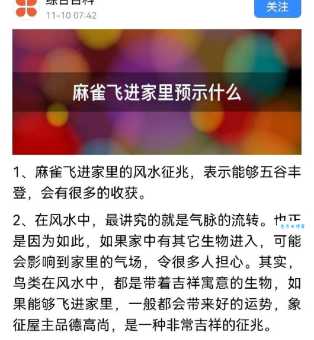 怎样使麻雀安静下来？试试这些小妙招！