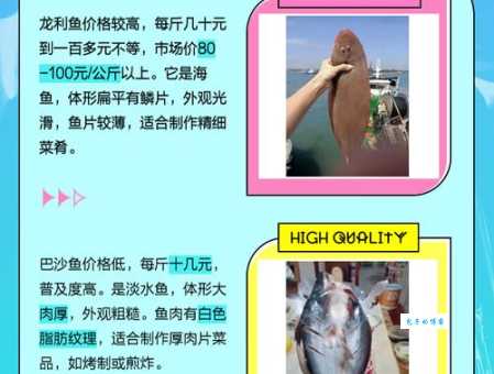 想吃龙利鱼却买到巴沙鱼？教你轻松识别龙利鱼和巴沙鱼的秘密！