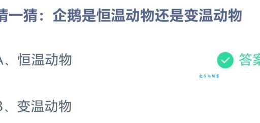 企鹅是恒温动物还是变温动物？简单易懂的科普知识