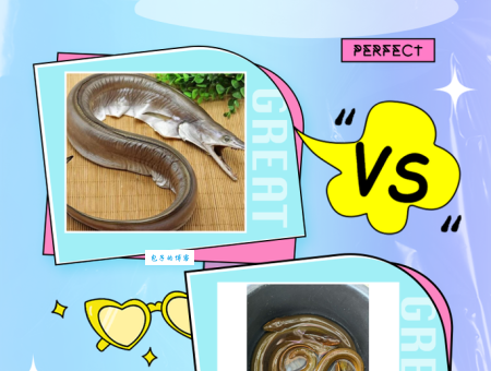 蚯蚓、黄鳝都雌雄同体？探索自然界的性别奥秘