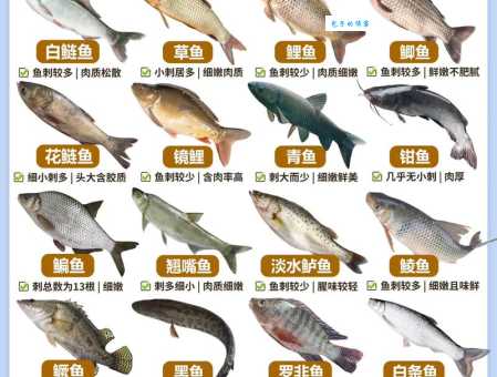 各式鱼类的生活习性大比拼：你了解多少？