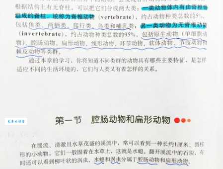 探索扁形动物：从形态到习性全方位解读扁形动物